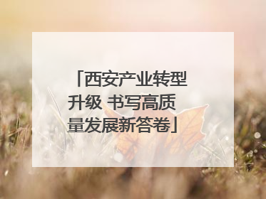 西安产业转型升级 书写高质量发展新答卷