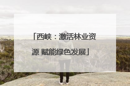 西峡：激活林业资源 赋能绿色发展