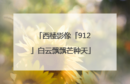 西楼影像「912」白云飘飘芒种天