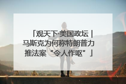 观天下·美国政坛｜马斯克为何称特朗普力推法案“令人作呕”