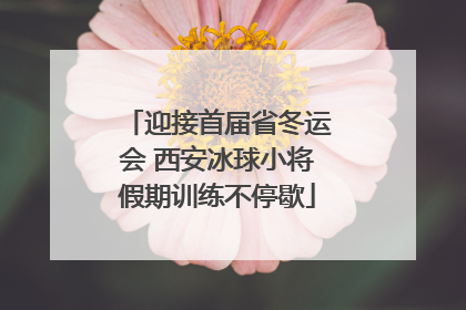迎接首届省冬运会 西安冰球小将假期训练不停歇