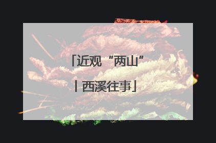 近观“两山”丨西溪往事