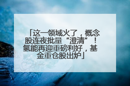 这一领域火了，概念股连夜批量“澄清”！氢能再迎重磅利好，基金重仓股出炉
