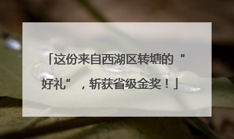 这份来自西湖区转塘的“好礼”，斩获省级金奖！