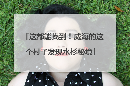 这都能找到！威海的这个村子发现水杉秘境