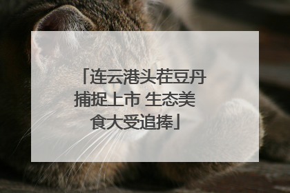 连云港头茬豆丹捕捉上市 生态美食大受追捧