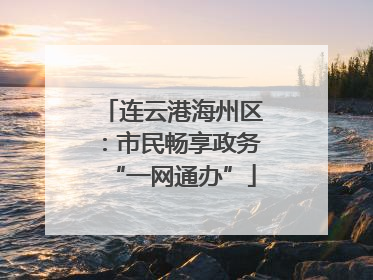 连云港海州区：市民畅享政务“一网通办”