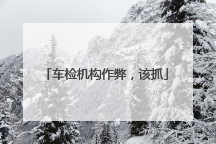车检机构作弊，该抓