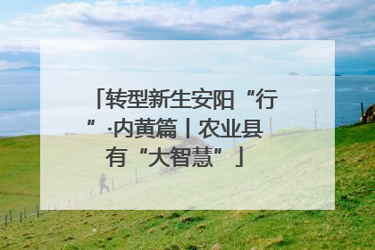 转型新生安阳“行”·内黄篇丨农业县有“大智慧”