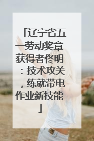 辽宁省五一劳动奖章获得者佟明：技术攻关，练就带电作业新技能