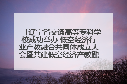 辽宁省交通高等专科学校成功举办 低空经济行业产教融合共同体成立大会暨共建低空经济产教融合新生态论坛