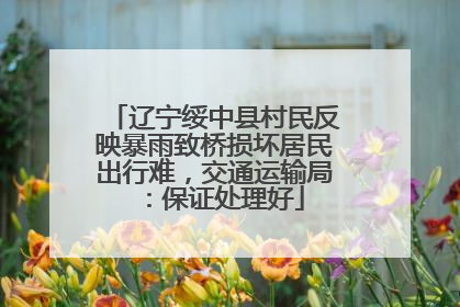 辽宁绥中县村民反映暴雨致桥损坏居民出行难，交通运输局：保证处理好