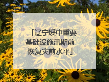 辽宁绥中重要基础设施汛期前恢复灾前水平