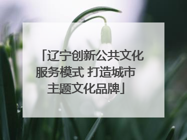 辽宁创新公共文化服务模式 打造城市主题文化品牌