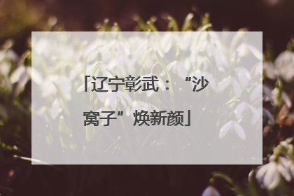 辽宁彰武：“沙窝子”焕新颜