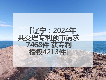辽宁：2024年共受理专利预审请求7468件 获专利授权4213件