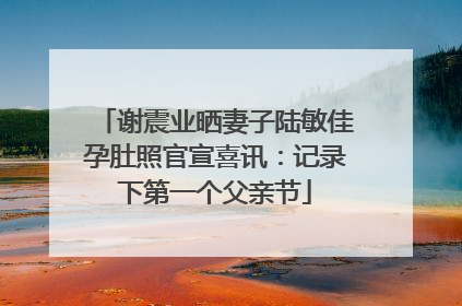 谢震业晒妻子陆敏佳孕肚照官宣喜讯：记录下第一个父亲节