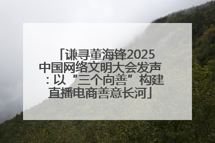 谦寻董海锋2025中国网络文明大会发声：以“三个向善”构建直播电商善意长河
