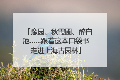 豫园、秋霞圃、醉白池……跟着这本口袋书走进上海古园林