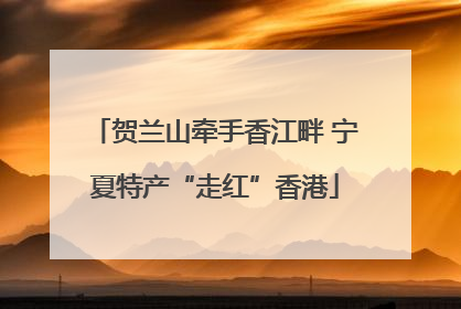 贺兰山牵手香江畔 宁夏特产“走红”香港