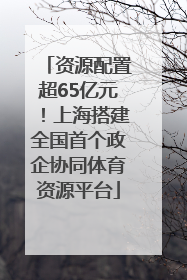 资源配置超65亿元！上海搭建全国首个政企协同体育资源平台