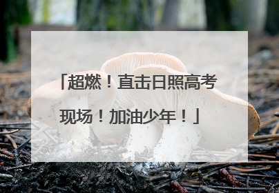 超燃！直击日照高考现场！加油少年！
