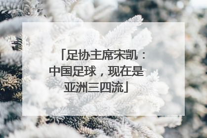 足协主席宋凯：中国足球，现在是亚洲三四流