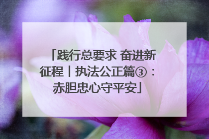 践行总要求 奋进新征程丨执法公正篇③：赤胆忠心守平安