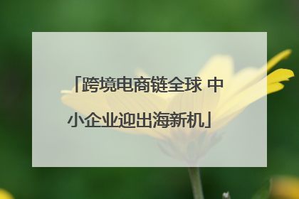 跨境电商链全球 中小企业迎出海新机
