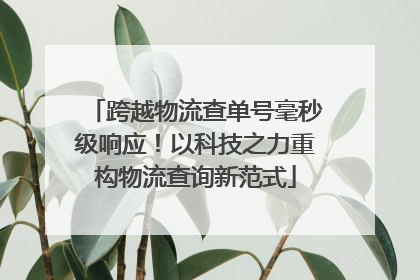 跨越物流查单号毫秒级响应！以科技之力重构物流查询新范式