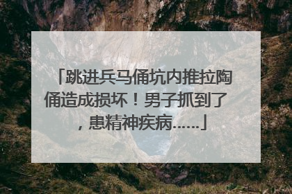 跳进兵马俑坑内推拉陶俑造成损坏！男子抓到了，患精神疾病……