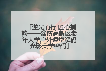 逆光而行 匠心捕韵——淄博高新区老年大学户外课堂解码光影美学密码
