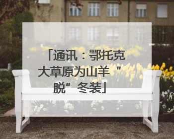 通讯：鄂托克大草原为山羊“脱”冬装
