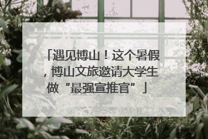 遇见博山！这个暑假，博山文旅邀请大学生做“最强宣推官”