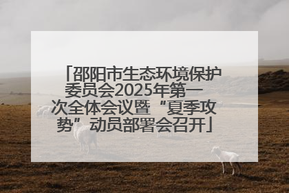 邵阳市生态环境保护委员会2025年第一次全体会议暨“夏季攻势”动员部署会召开