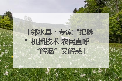 邻水县：专家“把脉”机播技术 农民直呼“解渴”又解惑