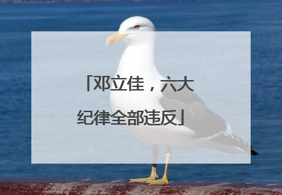 邓立佳，六大纪律全部违反