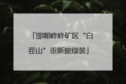 邯郸峰峰矿区“白茬山”重新披绿装