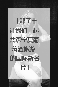 郑子丰 让我们一起共筑宁夏葡萄酒旅游 的国际新名片