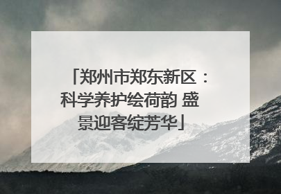 郑州市郑东新区：科学养护绘荷韵 盛景迎客绽芳华
