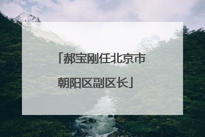 郝宝刚任北京市朝阳区副区长