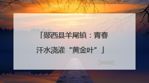郧西县羊尾镇：青春汗水浇灌“黄金叶”