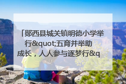郧西县城关镇明德小学举行"五育并举助成长，人人参与逐梦行"庆六一活动