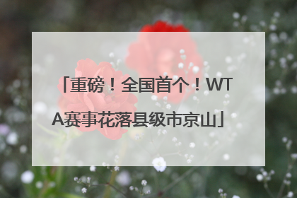 重磅！全国首个！WTA赛事花落县级市京山