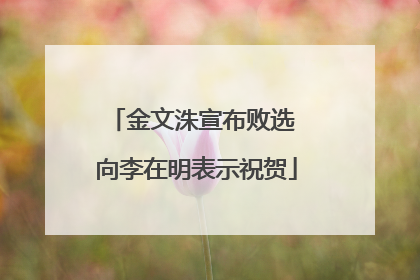 金文洙宣布败选 向李在明表示祝贺