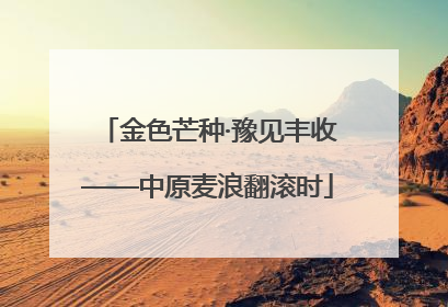 金色芒种·豫见丰收——中原麦浪翻滚时