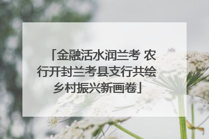 金融活水润兰考 农行开封兰考县支行共绘乡村振兴新画卷