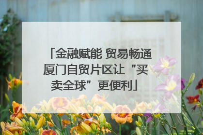 金融赋能 贸易畅通 厦门自贸片区让“买卖全球”更便利