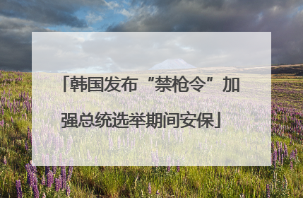 韩国发布“禁枪令”加强总统选举期间安保