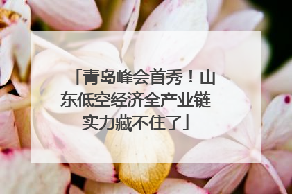 青岛峰会首秀！山东低空经济全产业链实力藏不住了